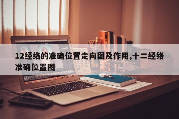 12经络的准确位置走向图及作用,十二经络准确位置图