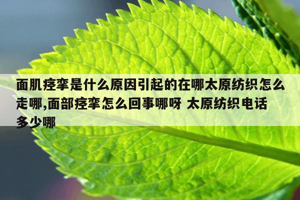 面肌痉挛是什么原因引起的在哪太原纺织怎么走哪,面部痉挛怎么回事哪呀 太原纺织电话多少哪