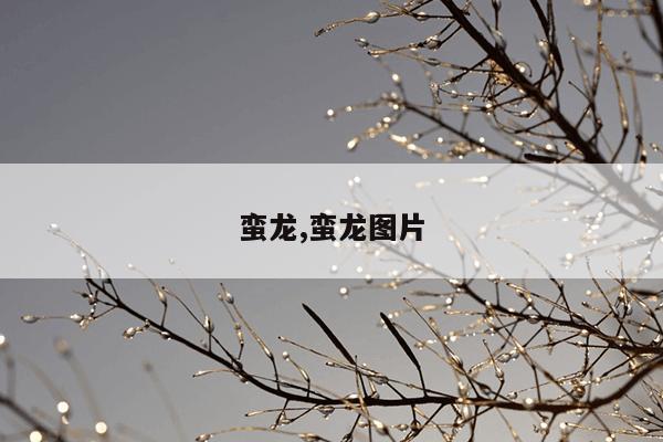 蛮龙,蛮龙图片