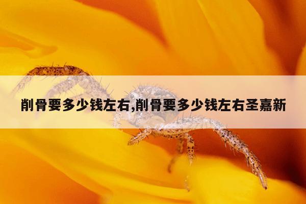 削骨要多少钱左右,削骨要多少钱左右圣嘉新