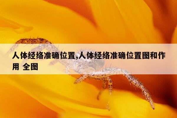 人体经络准确位置,人体经络准确位置图和作用 全图