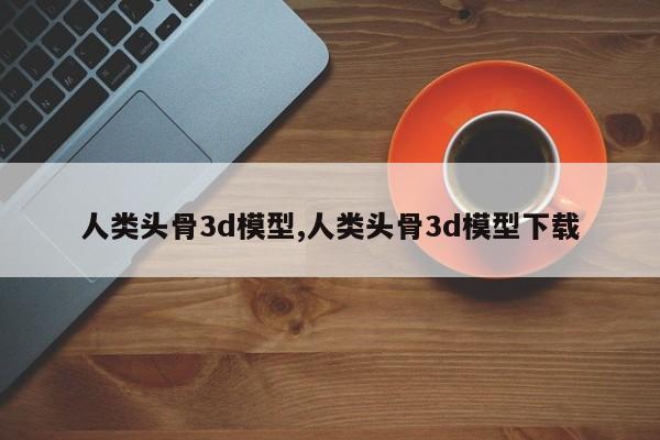 人类头骨3d模型,人类头骨3d模型下载