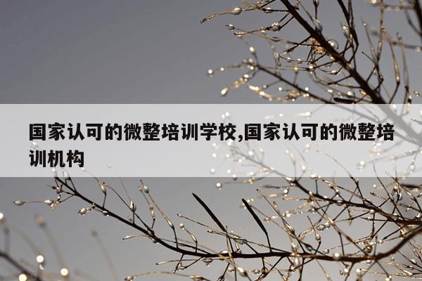 国家认可的微整培训学校,国家认可的微整培训机构