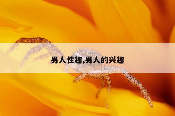 男人性趣,男人的兴趣