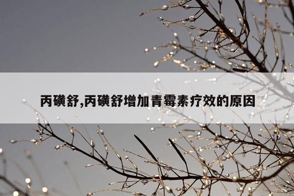 丙磺舒,丙磺舒增加青霉素疗效的原因