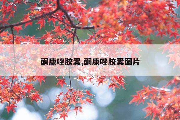 酮康唑胶囊,酮康唑胶囊图片