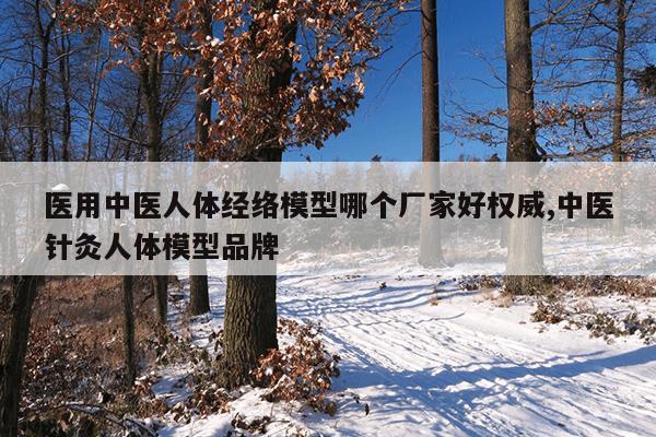 医用中医人体经络模型哪个厂家好权威,中医针灸人体模型品牌