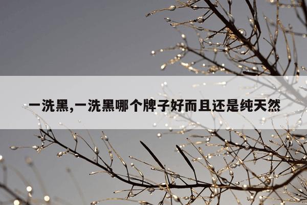 一洗黑,一洗黑哪个牌子好而且还是纯天然