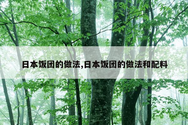 日本饭团的做法,日本饭团的做法和配料