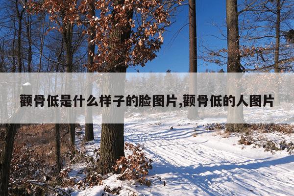 颧骨低是什么样子的脸图片,颧骨低的人图片