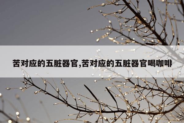 苦对应的五脏器官,苦对应的五脏器官喝咖啡