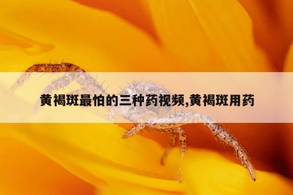 黄褐斑最怕的三种药视频,黄褐斑用药