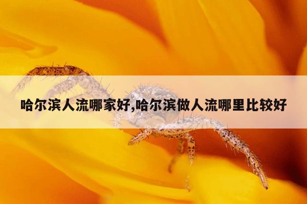 哈尔滨人流哪家好,哈尔滨做人流哪里比较好