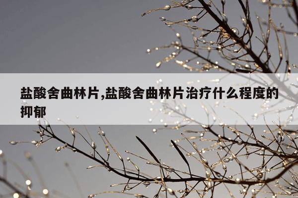 盐酸舍曲林片,盐酸舍曲林片治疗什么程度的抑郁