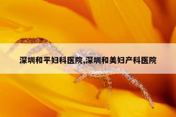 深圳和平妇科医院,深圳和美妇产科医院