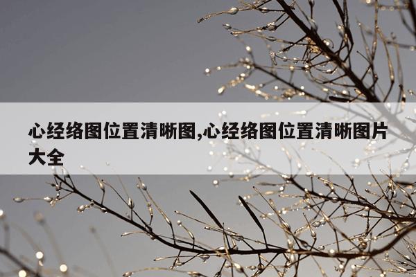 心经络图位置清晰图,心经络图位置清晰图片大全