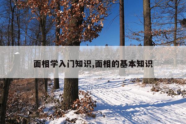 面相学入门知识,面相的基本知识