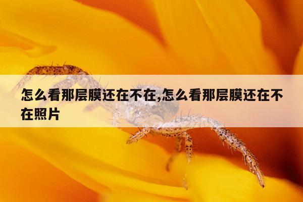 怎么看那层膜还在不在,怎么看那层膜还在不在照片