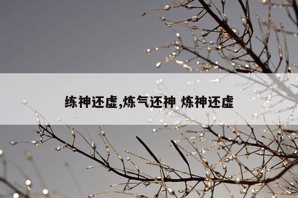 练神还虚,炼气还神 炼神还虚