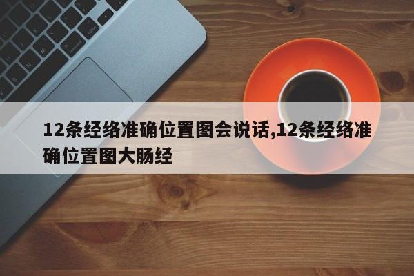12条经络准确位置图会说话,12条经络准确位置图大肠经