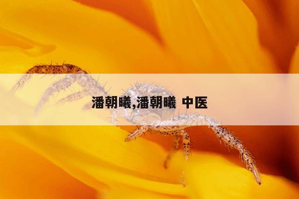 潘朝曦,潘朝曦 中医