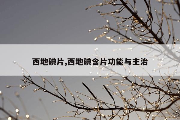 西地碘片,西地碘含片功能与主治