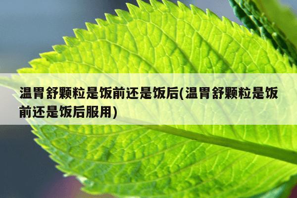 温胃舒颗粒是饭前还是饭后(温胃舒颗粒是饭前还是饭后服用)