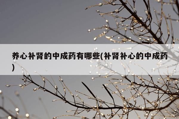 养心补肾的中成药有哪些(补肾补心的中成药)