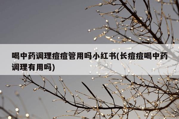 喝中药调理痘痘管用吗小红书(长痘痘喝中药调理有用吗)