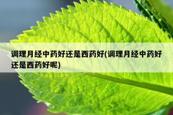 调理月经中药好还是西药好(调理月经中药好还是西药好呢)