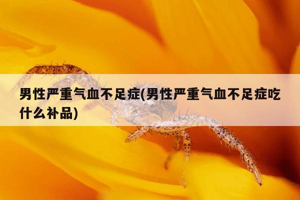 男性严重气血不足症(男性严重气血不足症吃什么补品)