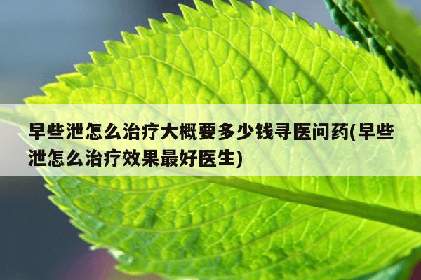 早些泄怎么治疗大概要多少钱寻医问药(早些泄怎么治疗效果最好医生)