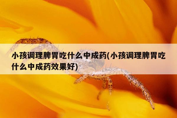小孩调理脾胃吃什么中成药(小孩调理脾胃吃什么中成药效果好)