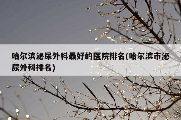 哈尔滨泌尿外科最好的医院排名(哈尔滨市泌尿外科排名)