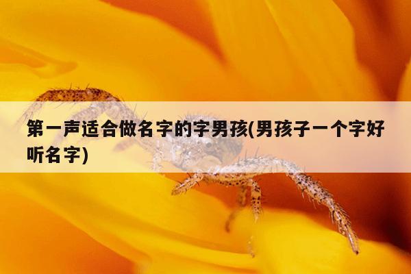 第一声适合做名字的字男孩(男孩子一个字好听名字)