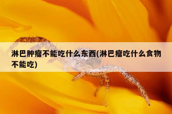 淋巴肿瘤不能吃什么东西(淋巴瘤吃什么食物不能吃)