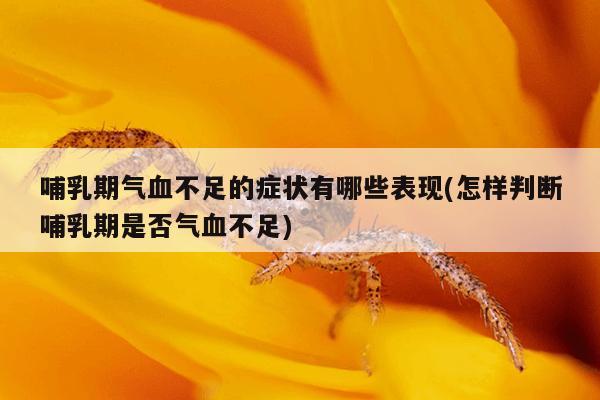 哺乳期气血不足的症状有哪些表现(怎样判断哺乳期是否气血不足)