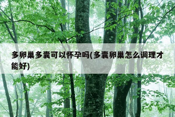 多卵巢多囊可以怀孕吗(多囊卵巢怎么调理才能好)