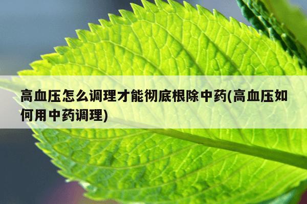 高血压怎么调理才能彻底根除中药(高血压如何用中药调理)