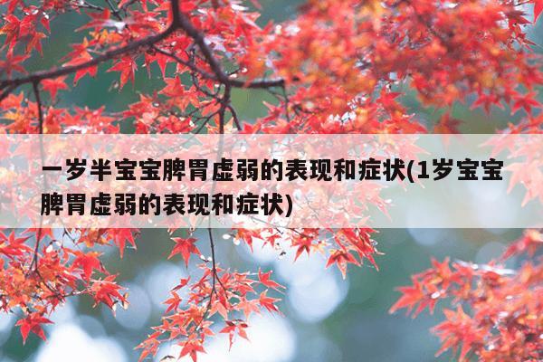 一岁半宝宝脾胃虚弱的表现和症状(1岁宝宝脾胃虚弱的表现和症状)