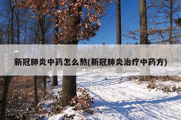 新冠肺炎中药怎么熬(新冠肺炎治疗中药方)