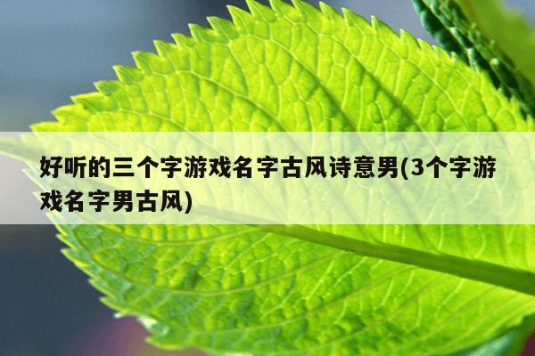 好听的三个字游戏名字古风诗意男(3个字游戏名字男古风)