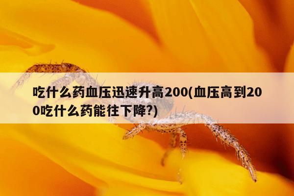 吃什么药血压迅速升高200(血压高到200吃什么药能往下降?)