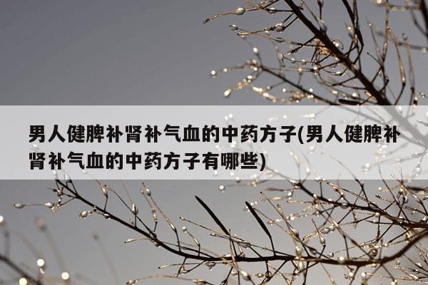 男人健脾补肾补气血的中药方子(男人健脾补肾补气血的中药方子有哪些)