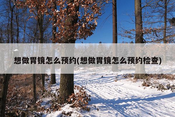 想做胃镜怎么预约(想做胃镜怎么预约检查)