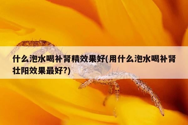 什么泡水喝补肾精效果好(用什么泡水喝补肾壮阳效果最好?)