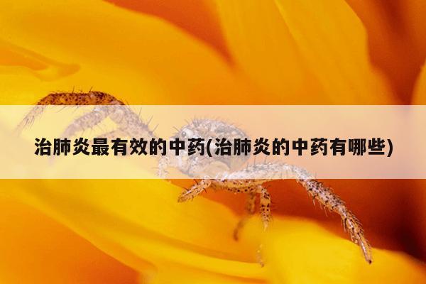 治肺炎最有效的中药(治肺炎的中药有哪些)