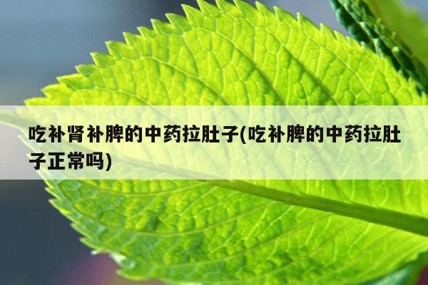 吃补肾补脾的中药拉肚子(吃补脾的中药拉肚子正常吗)