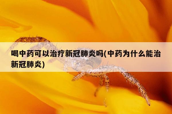 喝中药可以治疗新冠肺炎吗(中药为什么能治新冠肺炎)
