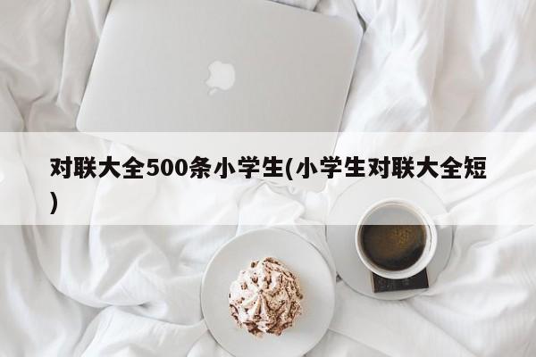 对联大全500条小学生(小学生对联大全短)